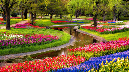 1190009 (a): :2560x1440